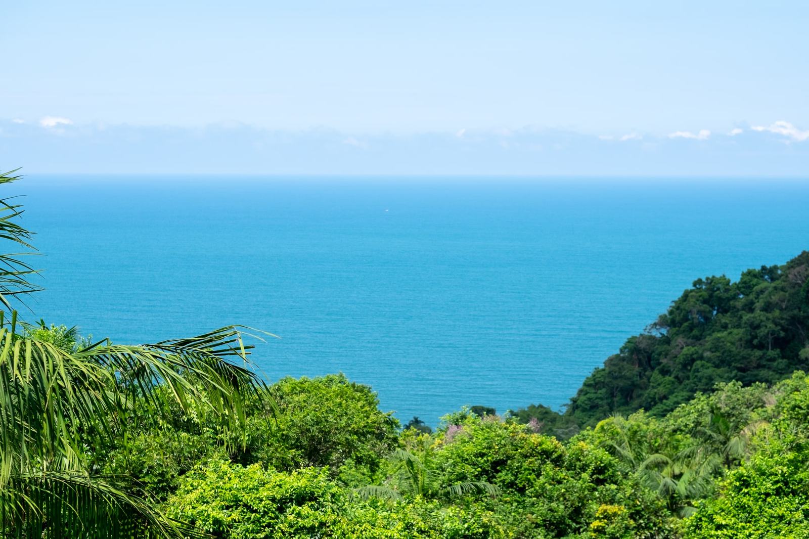 Vista do mar a partir da Villa 231 cercada pela vegetação preservada do Condomínio Iporanga.