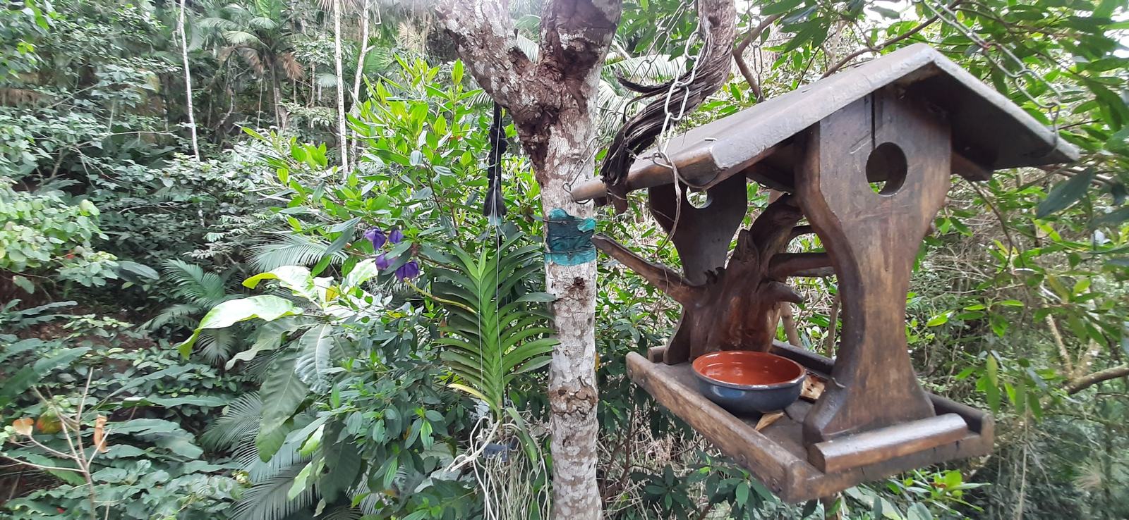Casinha de pássaros em meio à Mata Atlântica da Villa 231.