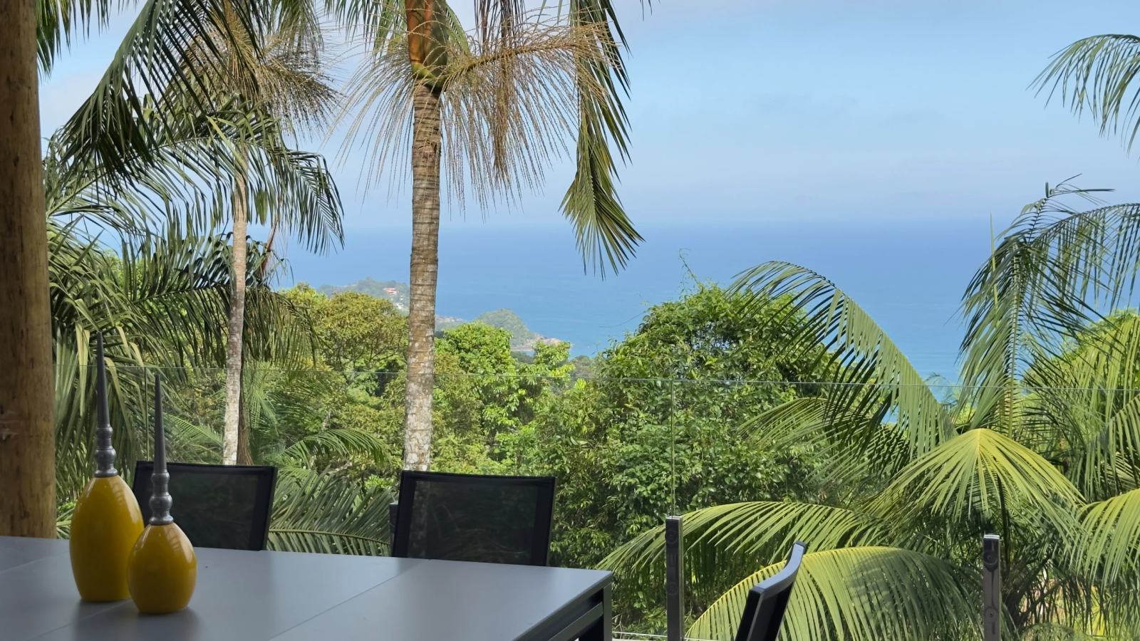 Vista para o oceano entre as palmeiras da Villa 231 no Guarujá.