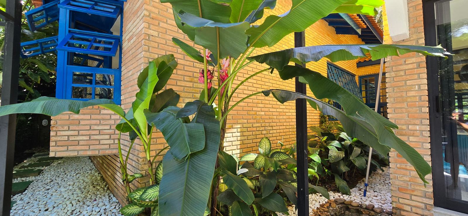 Área externa 5 — Iporanga, Guarujá, para locação, Casa