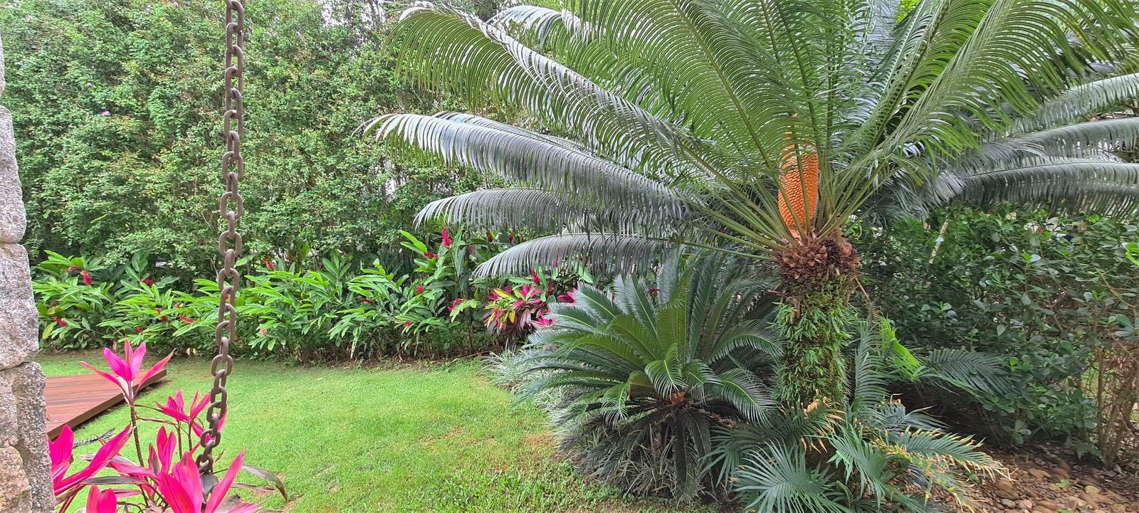 Área externa 10 — Iporanga, Guarujá, à venda e para locação, Casa