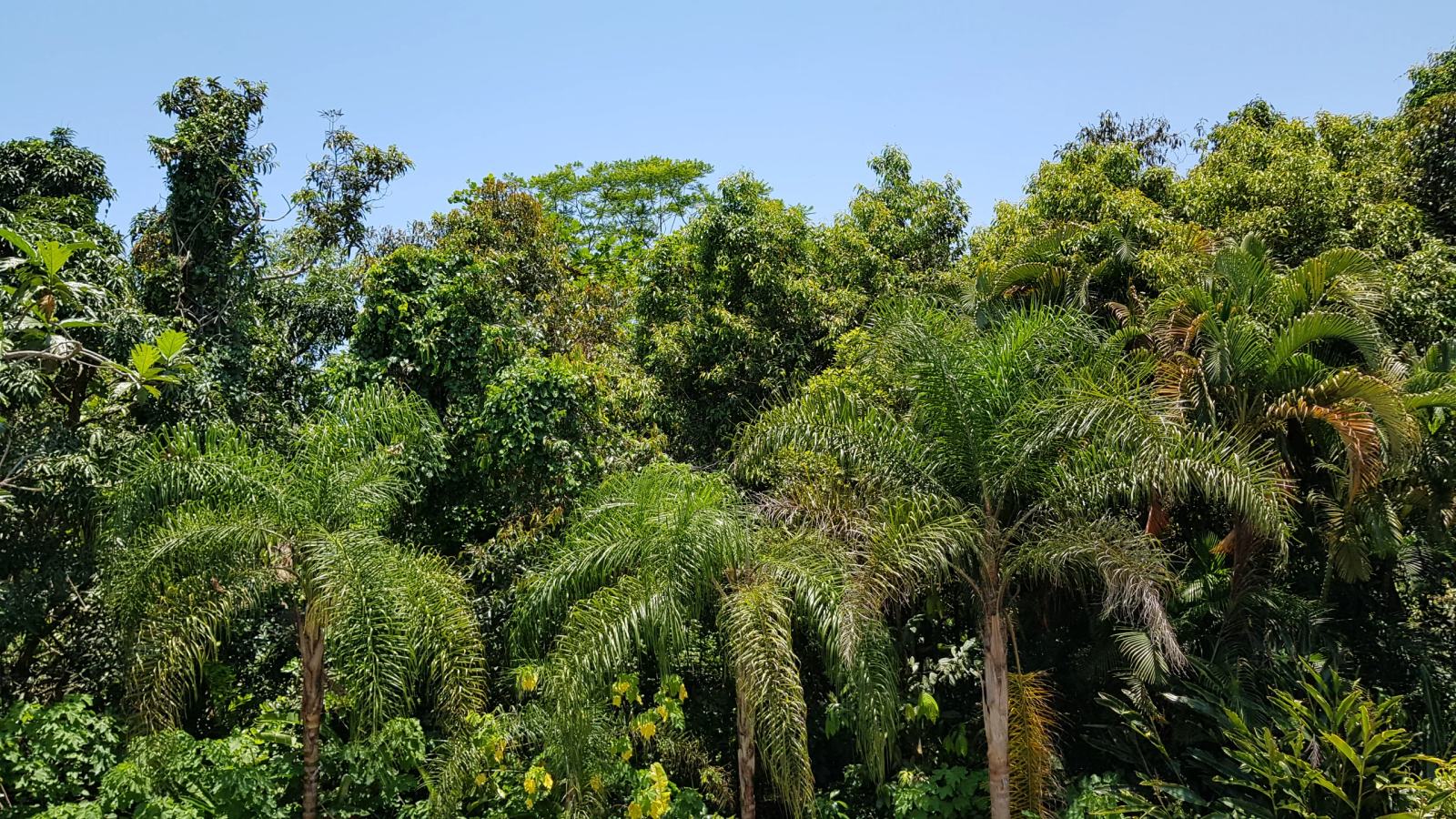Casa à venda no Condomínio Iporanga Guarujá — Villa 424 — foto 14