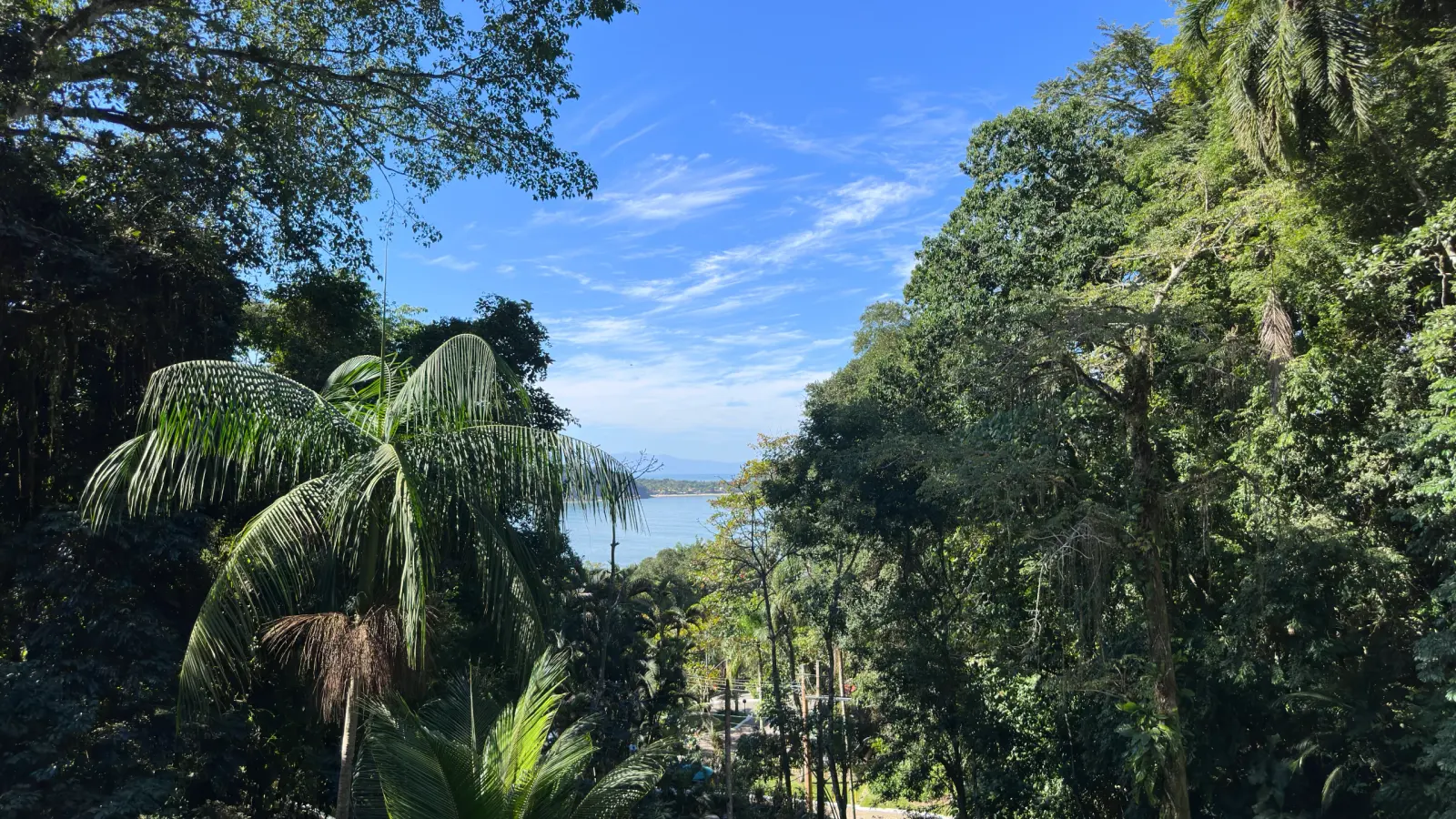 Villa 207 - Aluguel Temporada - Vista panorâmica da Mata Atlântica e do mar a partir em Tijucopava