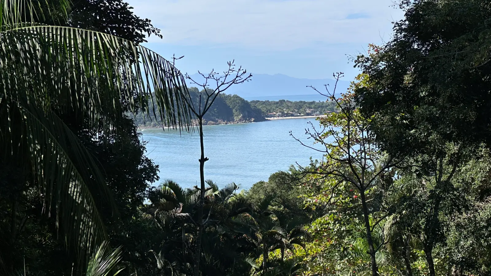 Villa 207 - Aluguel Temporada - Vista para o mar entre a vegetação preservada no Condomínio Tijucopava