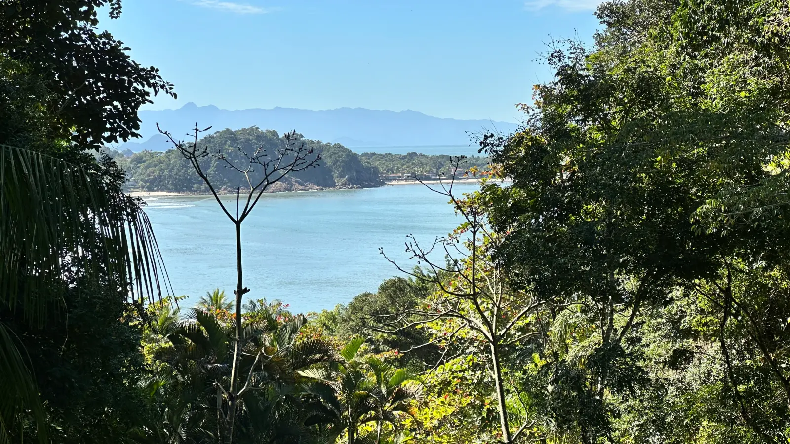 Villa 207 - Aluguel Temporada - Vista panorâmica da Suíte Master para a natureza preservada de Tijucopava
